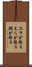 エラが張る Scroll