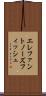 エレファントノーズフィッシュ Scroll