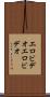 エロビデオ Scroll