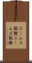エームス試験 Scroll