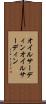 オイルサーディン Scroll