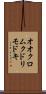 オオクロムクドリモドキ Scroll