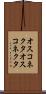 オスコネクタ Scroll