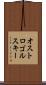オストロゴルスキー Scroll