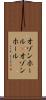 オゾンホール(P) Scroll