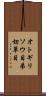 オトギリソウ目 Scroll