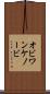 オビ＝ワン・ケノービ Scroll