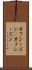 オフシーズン(P) Scroll