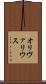 オリヴァリウス Scroll