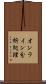 オンライン分析処理 Scroll
