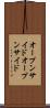 オープンサイド Scroll