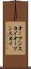 オープンスカイ Scroll