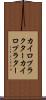 カイロプラクター Scroll