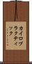 カイロプラクティック Scroll
