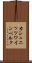 カシュニッツワインベルク Scroll