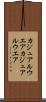 カジュアルウエア Scroll