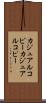カジュアルコピー Scroll