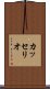 カッセリオ Scroll