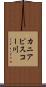 カニアピスコー川 Scroll