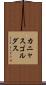 カニャスゴルダス Scroll