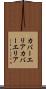 カバーエリア Scroll