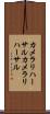カメラリハーサル Scroll