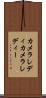 カメラレディ Scroll