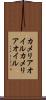 カメリアオイル Scroll