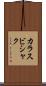 カラスビシャク Scroll