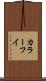 カラーフイ Scroll