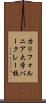 カリフォルニア大学バークレー校 Scroll