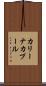 カリーナカプール Scroll