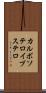 カルボソテロイブステロ Scroll
