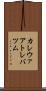 カレウァアトレバツム Scroll