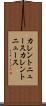 カレントニュース Scroll