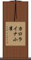 カロライナ小雀 Scroll