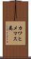 カワヒメマス属 Scroll