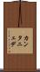 カンタニェデ Scroll
