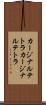 カージナルテトラ Scroll