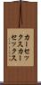 カーセックス Scroll