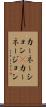 カーネーション(P) Scroll