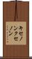 キセノン Scroll