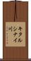 キタルシナイ川 Scroll