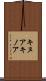 キヌア Scroll