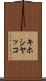 キホシヤッコ Scroll