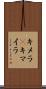 キメラ(P) Scroll