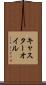 キャスターオイル Scroll