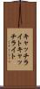 キャッチライト Scroll