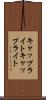 キャップライト Scroll