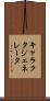 キャラクタ・ジェネレータ Scroll